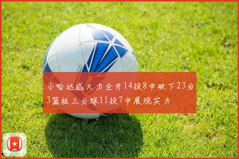 小哈达威火力全开14投8中砍下23分3篮板三分球11投7中展现实力